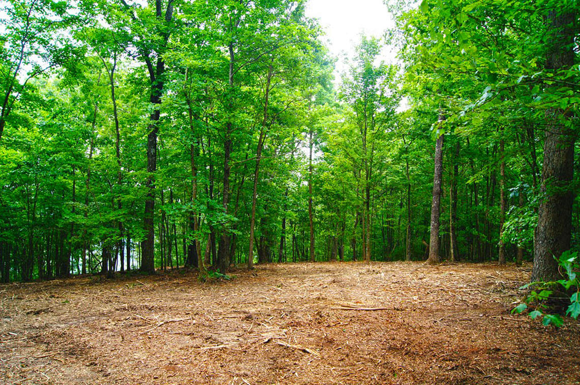 Wooded Homesite